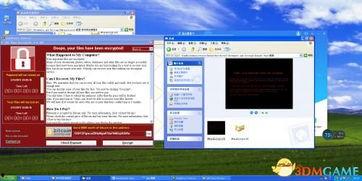 xp123国产,国产品牌的创新力量与市场影响力